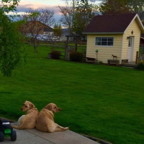 Meet your Posher, Verna - Picture 1 of 1